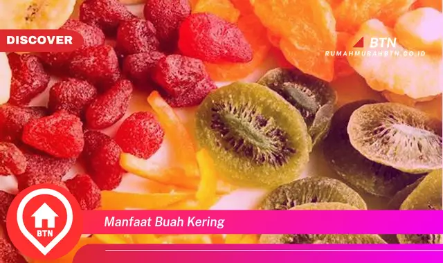 manfaat buah kering