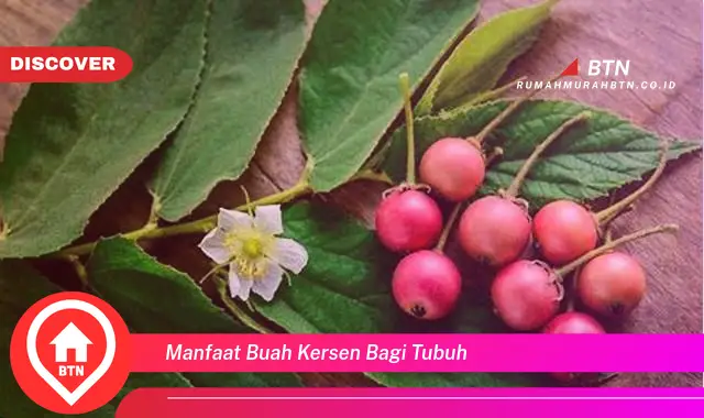 manfaat buah kersen bagi tubuh