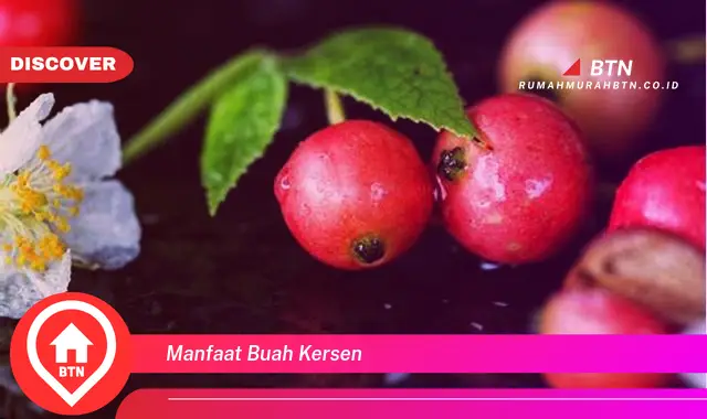 manfaat buah kersen