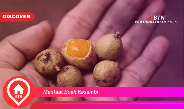 manfaat buah kesambi