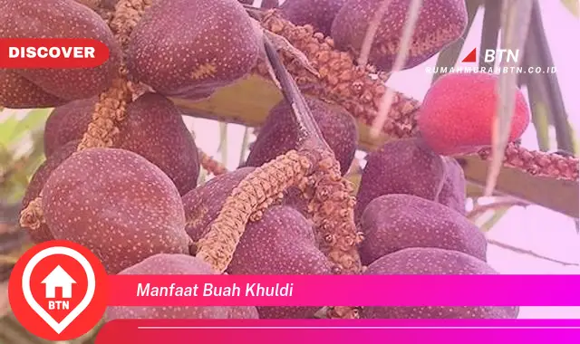 manfaat buah khuldi