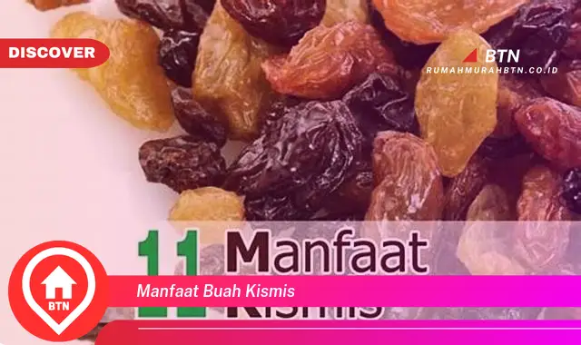 manfaat buah kismis