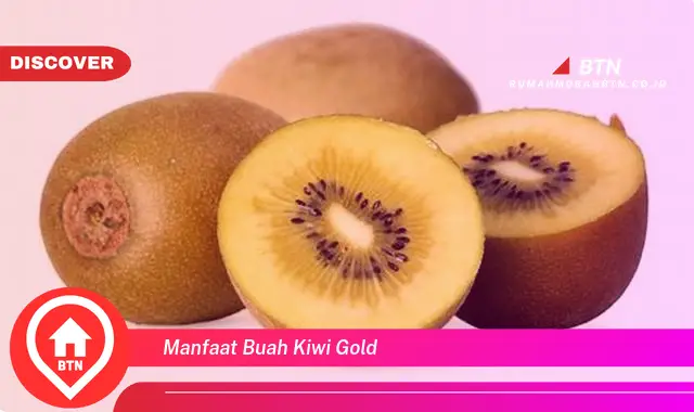 manfaat buah kiwi gold