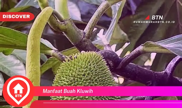 manfaat buah kluwih