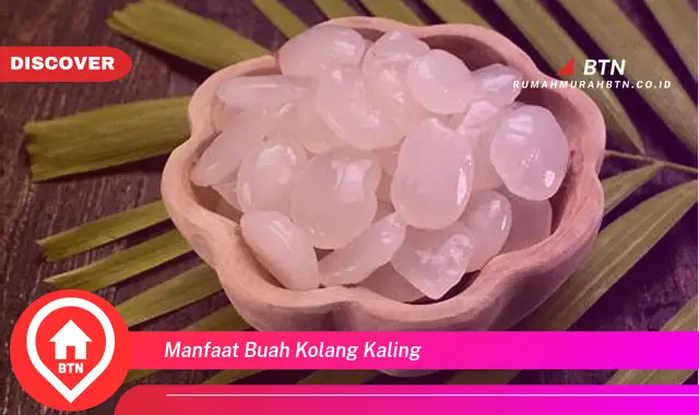 manfaat buah kolang kaling