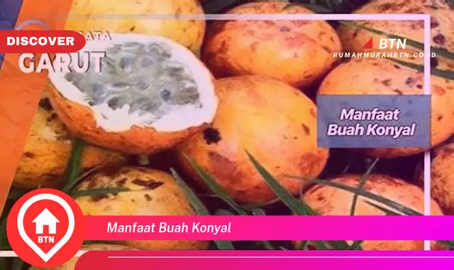 manfaat buah konyal