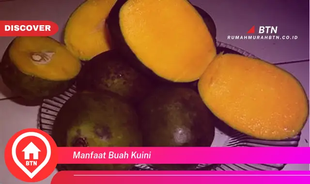 manfaat buah kuini