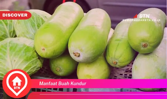 manfaat buah kundur