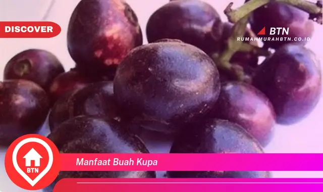 manfaat buah kupa