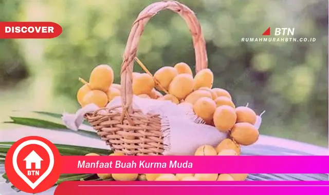 manfaat buah kurma muda