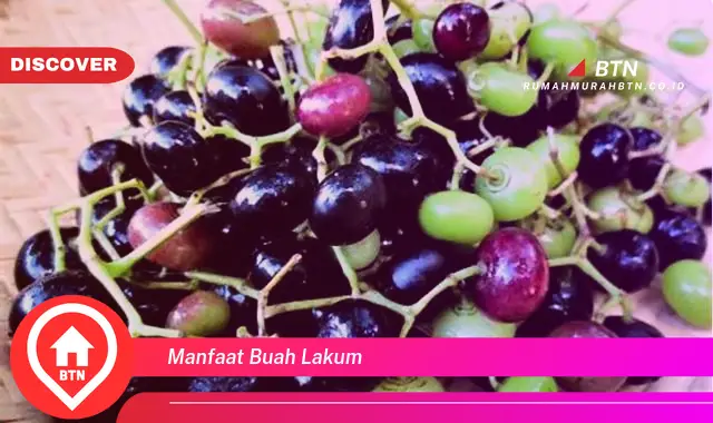 manfaat buah lakum