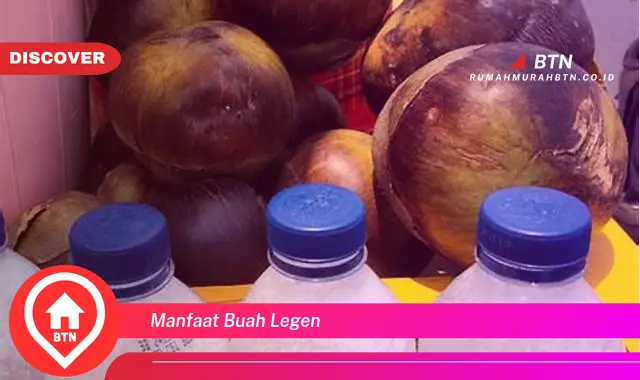 manfaat buah legen