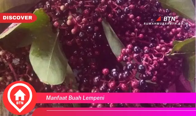 manfaat buah lempeni