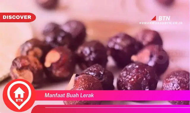 manfaat buah lerak