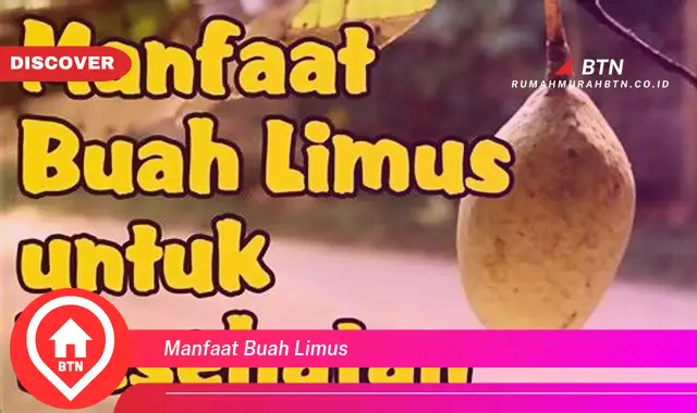 manfaat buah limus