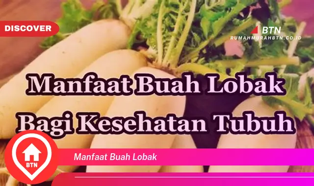 manfaat buah lobak