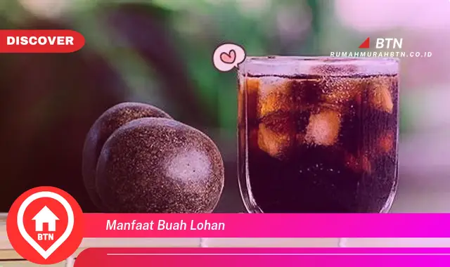 manfaat buah lohan