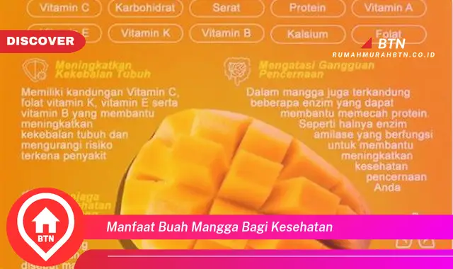 manfaat buah mangga bagi kesehatan