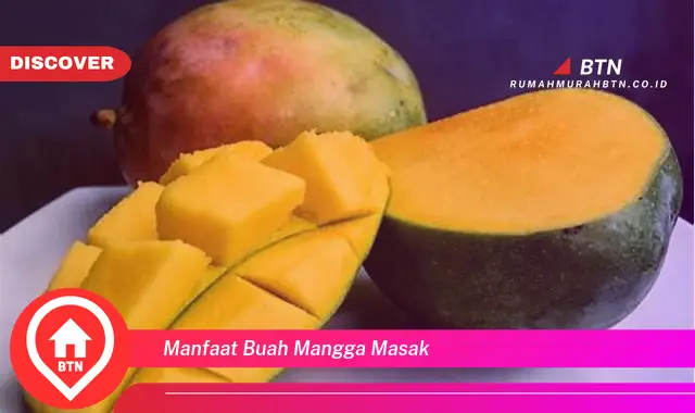 manfaat buah mangga masak