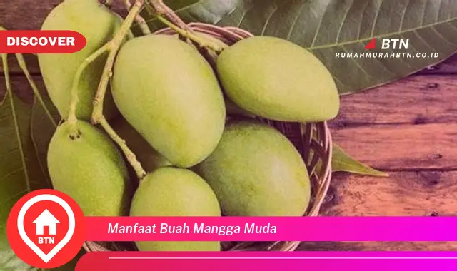 manfaat buah mangga muda