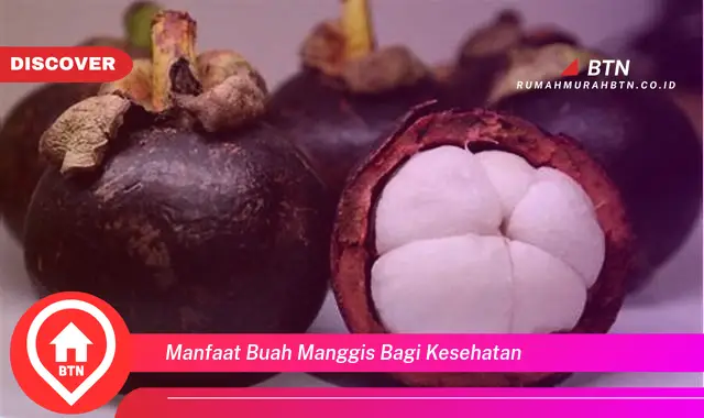 manfaat buah manggis bagi kesehatan