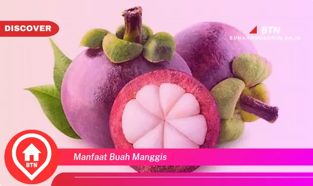 manfaat buah manggis