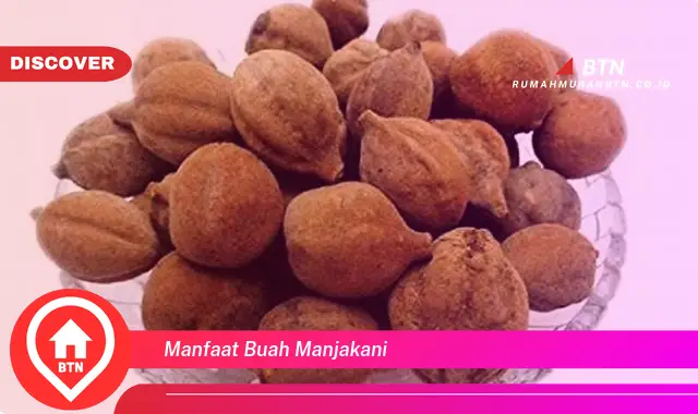 manfaat buah manjakani