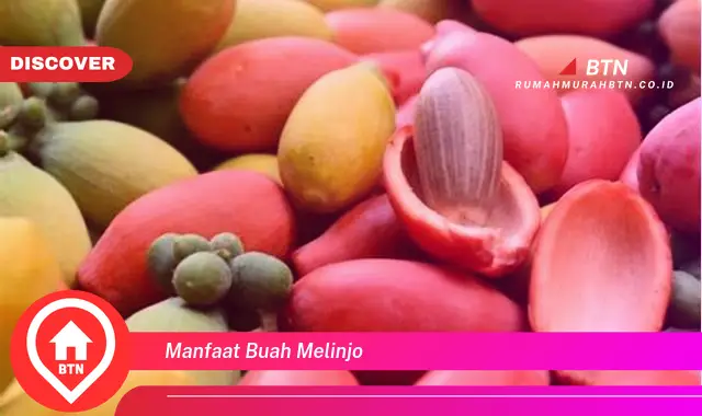 manfaat buah melinjo