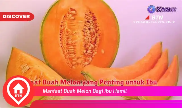 manfaat buah melon bagi ibu hamil