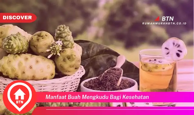 manfaat buah mengkudu bagi kesehatan