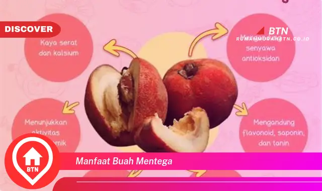 manfaat buah mentega