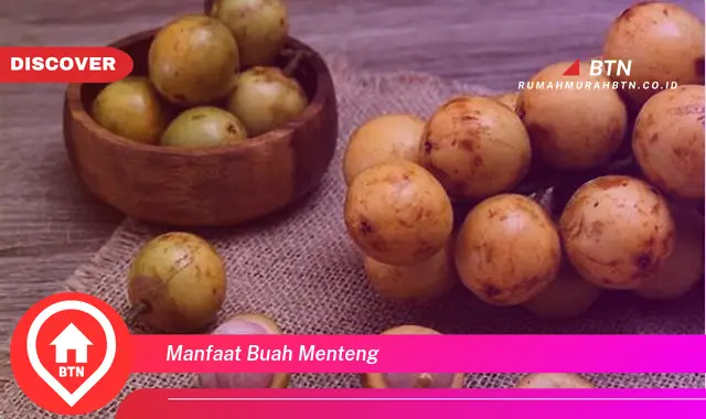 manfaat buah menteng