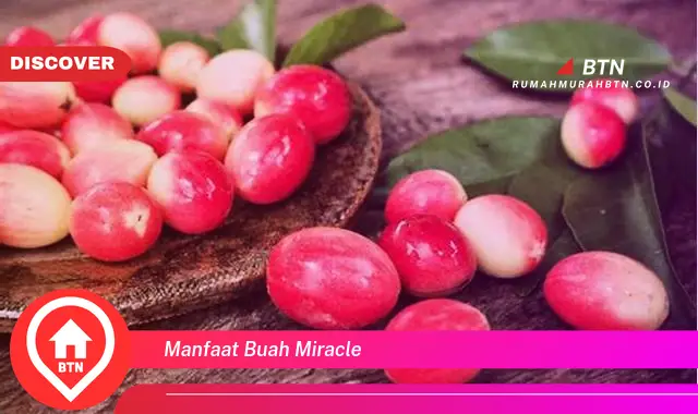 manfaat buah miracle