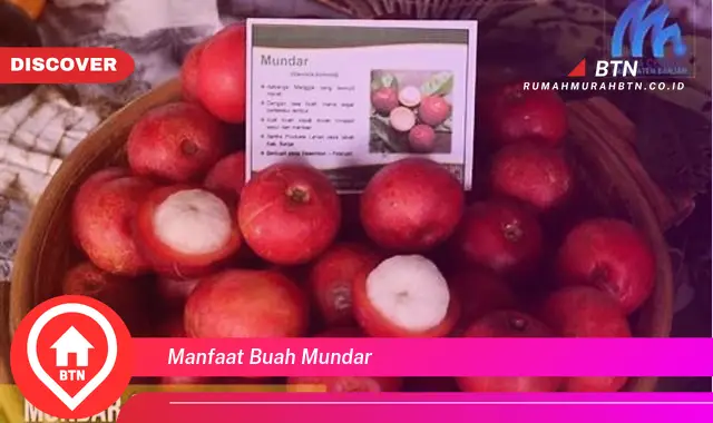 manfaat buah mundar