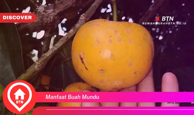 manfaat buah mundu