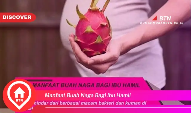 manfaat buah naga bagi ibu hamil