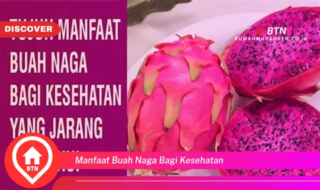 manfaat buah naga bagi kesehatan