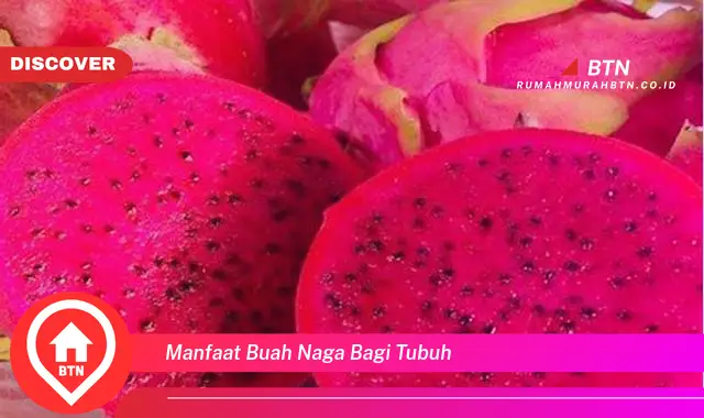 manfaat buah naga bagi tubuh