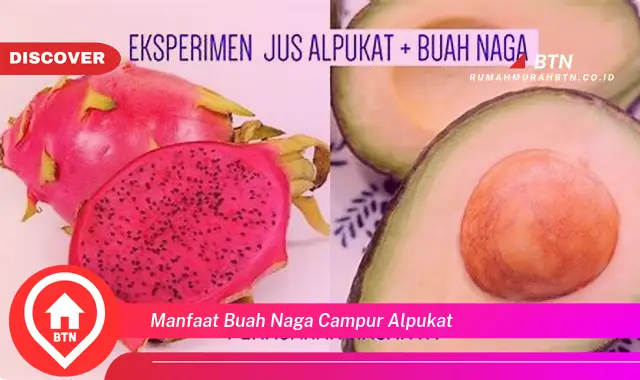 manfaat buah naga campur alpukat