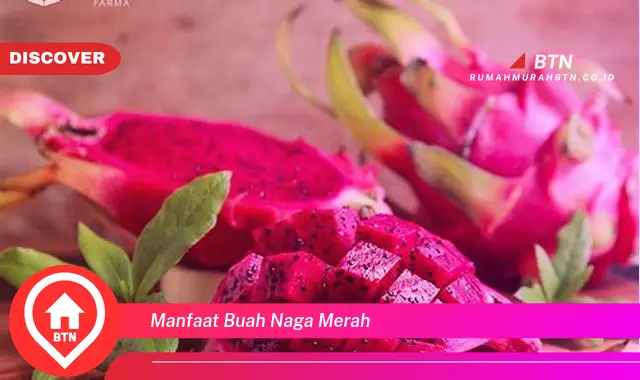 manfaat buah naga merah