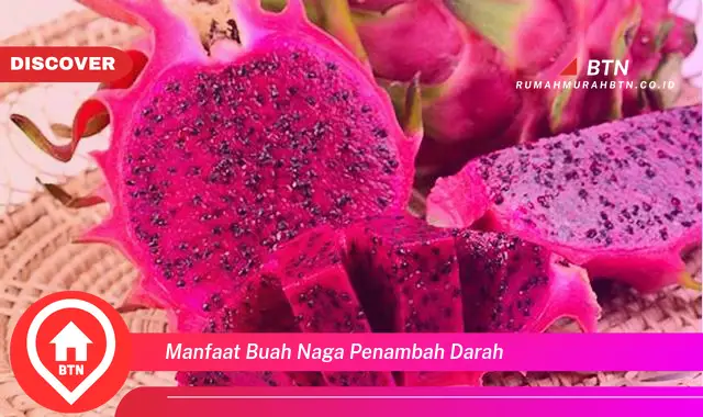 manfaat buah naga penambah darah