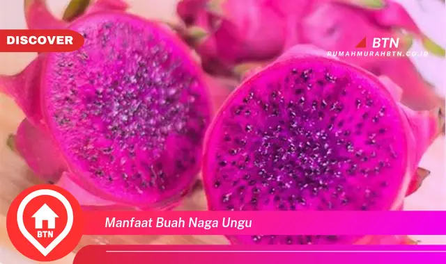 manfaat buah naga ungu