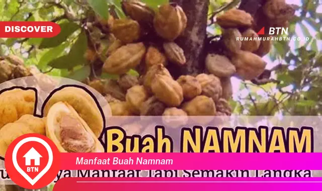 manfaat buah namnam