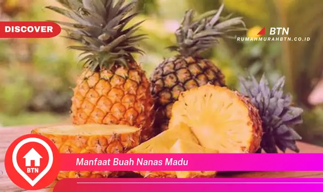 manfaat buah nanas madu