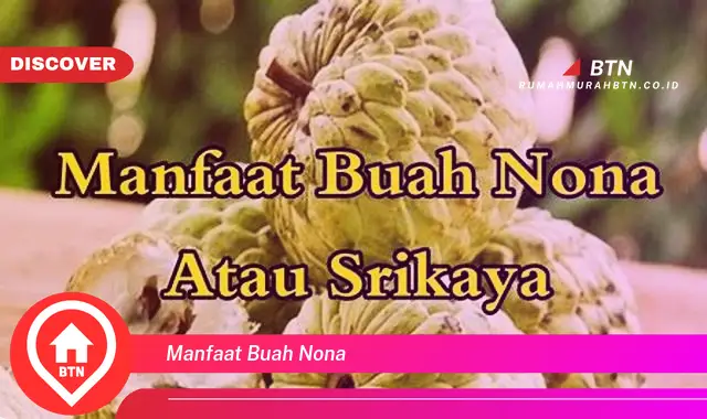 manfaat buah nona