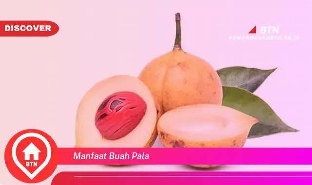 manfaat buah pala