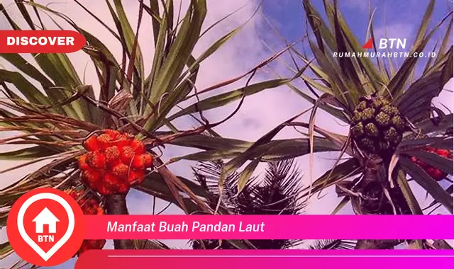 manfaat buah pandan laut