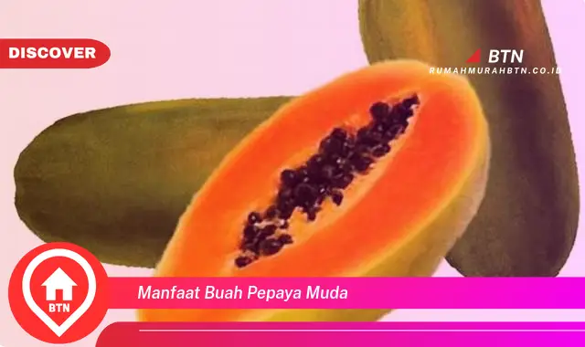 manfaat buah pepaya muda