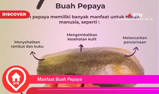 manfaat buah pepaya