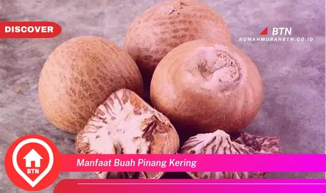 manfaat buah pinang kering